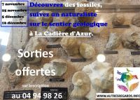 Découvrez des fossiles au Sud de la Sainte Baume. Du 7 novembre au 16 décembre 2015 à La Cadière d'Azur. Var.  10H30